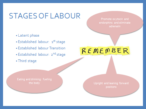 stages of labour.png
