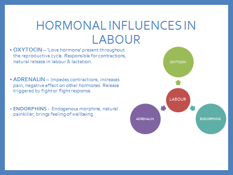 Hormonal influences.png